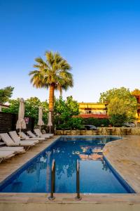 シビリにあるSamel Hotelのヤシの木があるスイミングプール(ラウンジチェア付)