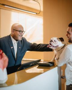 Hóspedes ficando em Montreal Marriott Chateau Champlain