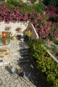 Zahrada ubytování Casa del Porto Byblos