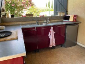 a kitchen with a sink and a counter with a towel at Studio Le Pitchoun in Pernes-les-Fontaines +10 photos