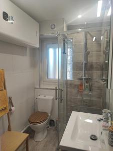 a bathroom with a toilet and a shower and a sink at T1 - Bord de Mer in Six-Fours-les-Plages