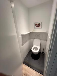 a small bathroom with a toilet in a stall at Appartement Plein 1944 in Nijmegen +5 photos