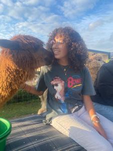 Domácí mazlíčci ubytovaní s hosty v ubytování slapen bij alpacas + 1 fotografie