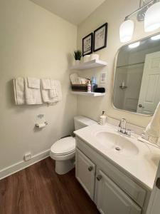 Koupelna v ubytování Cute and Cozy Comfy Birds Junior Cottage - 1 mile to Dwntn Ocean Springs, near Beach with Golf Cart + 27 fotografií