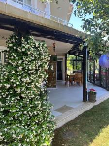 a plant with white flowers on the side of a house at Villa Elegance in Kocaeli