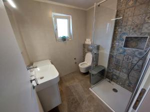 a bathroom with a toilet and a shower and a sink at Holiday apartment Lux Nera in Kastav +14 photos
