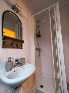 a bathroom with a sink and a shower at Au Pti' Bonheur in Saint-Coulomb