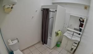 a bathroom with a shower and a toilet and a sink at Gîte Soleil in Adissan +23 photos