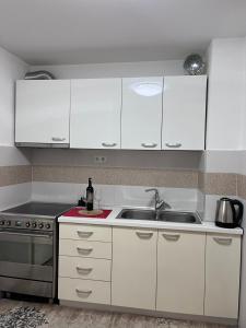 Billede fra billedgalleriet på Kaldrma i Sarajevo