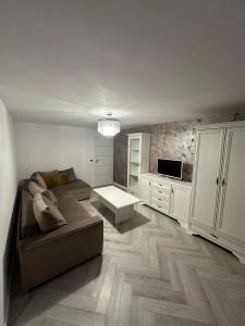 un salon avec un canapé et une télévision dans l'établissement Davinci Apartment, à Sibiu