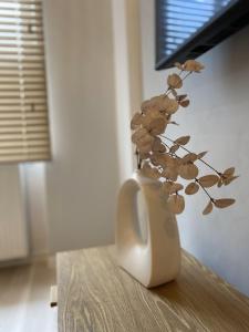 Φωτογραφία από το άλμπουμ του Kyoto Apartment στη Ζιελόνα Γκόρα