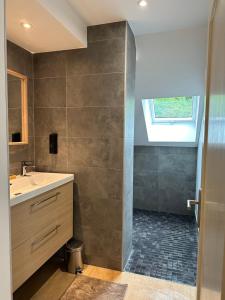 a bathroom with a sink and a shower with a window at Horizons du Haut in Niederbronn-les-Bains +19 photos