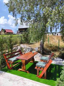 Κήπος έξω από το Durmitor Home with Sauna