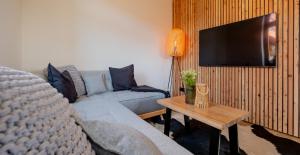 TV a/nebo společenská místnost v ubytování Eggert Alm Apartments
