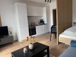 Kuchyň nebo kuchyňský kout v ubytování Apartmán EMA Demänovská Dolina -Pavčiná Lehota