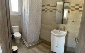 a bathroom with a sink and a toilet at Eagle View Karystos in Karistos