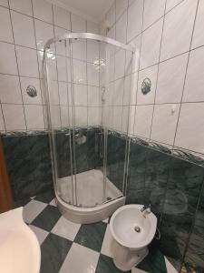 a bathroom with a shower and a toilet at N&B Apartment Kotor in Kotor +3 photos