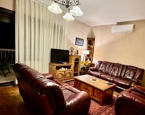 TV a/nebo společenská místnost v ubytování Villa Garden