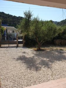 a tree in a gravel yard next to a fence at Centre Vlore Guest House in Vlorë +21 photos