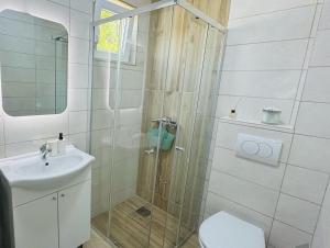a bathroom with a shower with a toilet and a sink at Apartmani Asovic in Budva