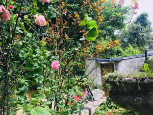 a garden with pink flowers and a building at Chambre 1 Namur à vélo in Namur