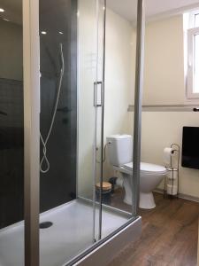 a bathroom with a shower and a toilet at Chambre 1 Namur à vélo in Namur