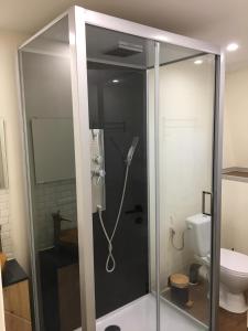 a glass shower in a bathroom with a toilet at Chambre 1 Namur à vélo in Namur