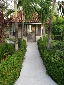 a walkway in front of a house with palm trees at Casa Pinilla- Perfecta para Paseos in Ricaurte