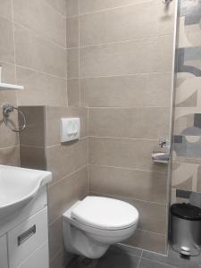 a bathroom with a toilet and a sink at Cera exclusive apartment in Soko Banja