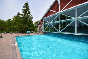 Swimmingpoolen hos eller tæt på Cozy king bed Suite - pullout couch - Pool on grounds