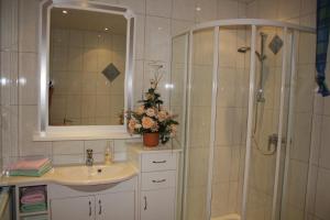 ein Badezimmer mit Dusche, Waschbecken und Spiegel in der Unterkunft Apart Lorenz in Häselgehr + 31 Fotos