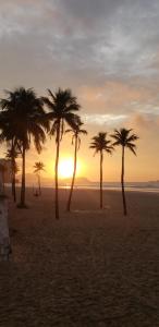 a group of palm trees on a beach at sunset at Quarto Privativo - Pitangueiras - 50mts da Praia in Guarujá