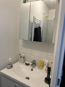 Et badeværelse på Duplex-pied du village JO paris + 12 billeder