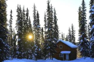 a house in the snow next to some trees at Cabin in the woods Fairbanks, Alaska, United States in Fairbanks