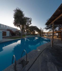 Galería fotográfica de Bodega el Huarango en Ica