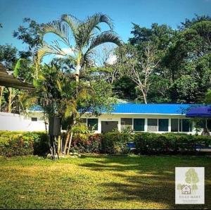 a house with a palm tree in front of it at Finca Villa Mary in Villavicencio