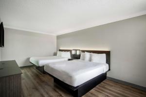 a hotel room with two beds and a desk at Motel 6 San Antonio, TX I-35 North Corridor in San Antonio +17 photos