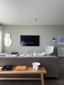 Μια τηλεόραση ή/και κέντρο ψυχαγωγίας στο E8 - Cozy 2 BR Apartment in central Reykjavík, with view