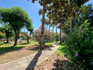 Zahrada ubytování Şima Hotel Kemer