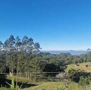 a view from the top of a hill with trees at Suíte na Montanha in Nova Veneza