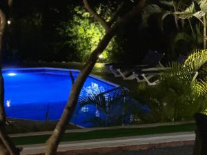 Bazen v nastanitvi oz. blizu nastanitve Villa Grand Jardin