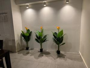 Fotografija v galeriji nastanitve Villa Grand Jardin v mestu Jan Thiel