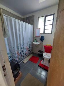 GuamoにあるCasa en condominio Guamo Tolimaのトイレと洗面台付きのバスルーム