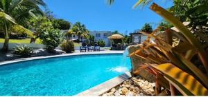 a swimming pool in a yard with chairs and trees at Carmeloria I in Rincon