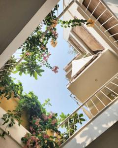 a view from the inside of a building with plants at Saur Homestay in Jaipur