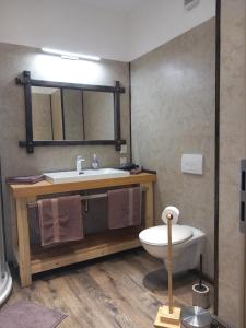 ein Badezimmer mit Waschbecken, Toilette und Spiegel in der Unterkunft Pension Steigerhof Johanngeorgenstadt in Johanngeorgenstadt + 11 Fotos