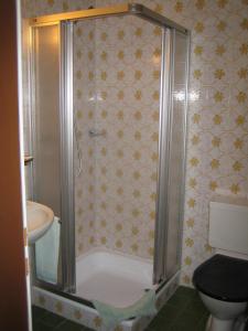 bagno con doccia e servizi igienici. di Hotel Elite B&B a Rossinière