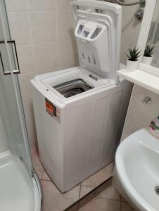 een badkamer met een vuilnisbak in de hoek van een toilet bij Studio Kaninska vas in Bovec