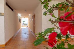 Φωτογραφία από το άλμπουμ του Los Gigantes Tamara Apt By Dream Homes Tenerife σε Santiago del Teide