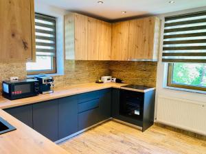 eine Küche mit Holzschränken und einer Arbeitsplatte in der Unterkunft Cabana din munte in Moroeni